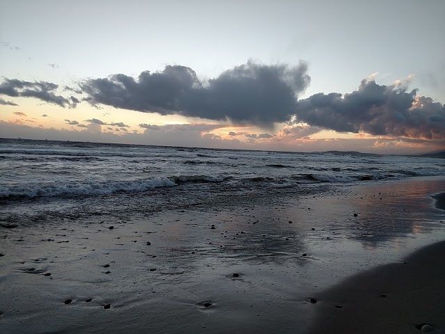 Carpinteria State Beach
